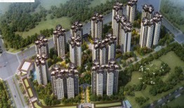 仪陇恒骏府爆料案件最新